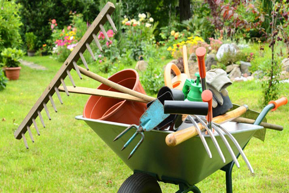 Garden-Services